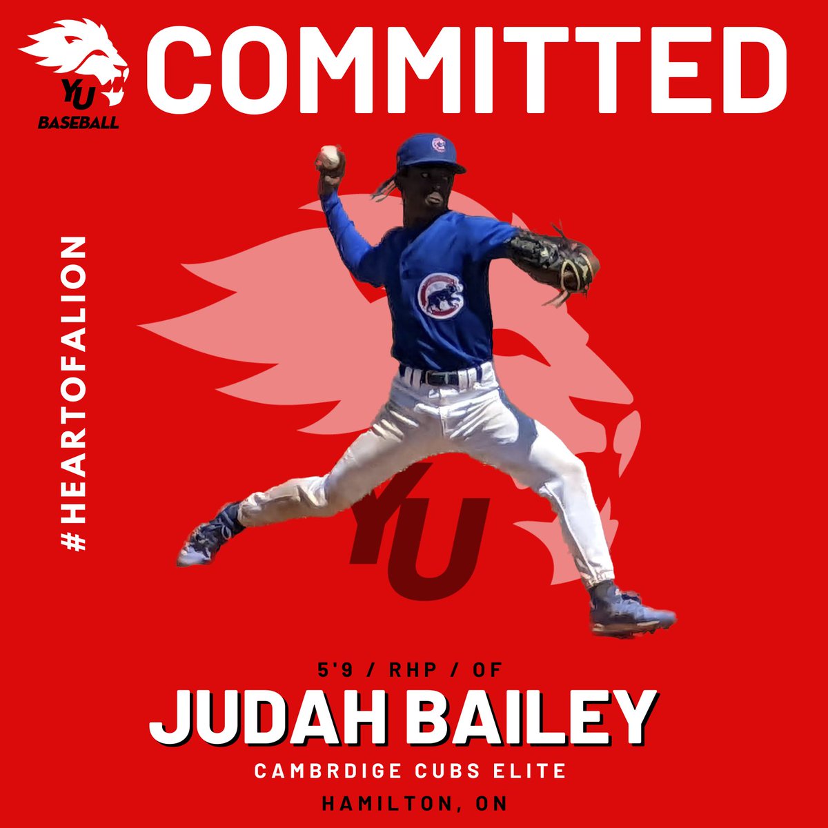 YorkUBaseball's tweet photo. Our fourth Lions Baseball commit of 2023-2024 is RHP/OF Judah Bailey @judah32bailey 

Judah joins the Lions from the Cambridge Cubs Elite.

Program of Study: Kinesiology 

Welcome to the Lions family 🦁⚾️

#lionpride #yorku #heartofalion https://t.co/b1tN3kt0AF