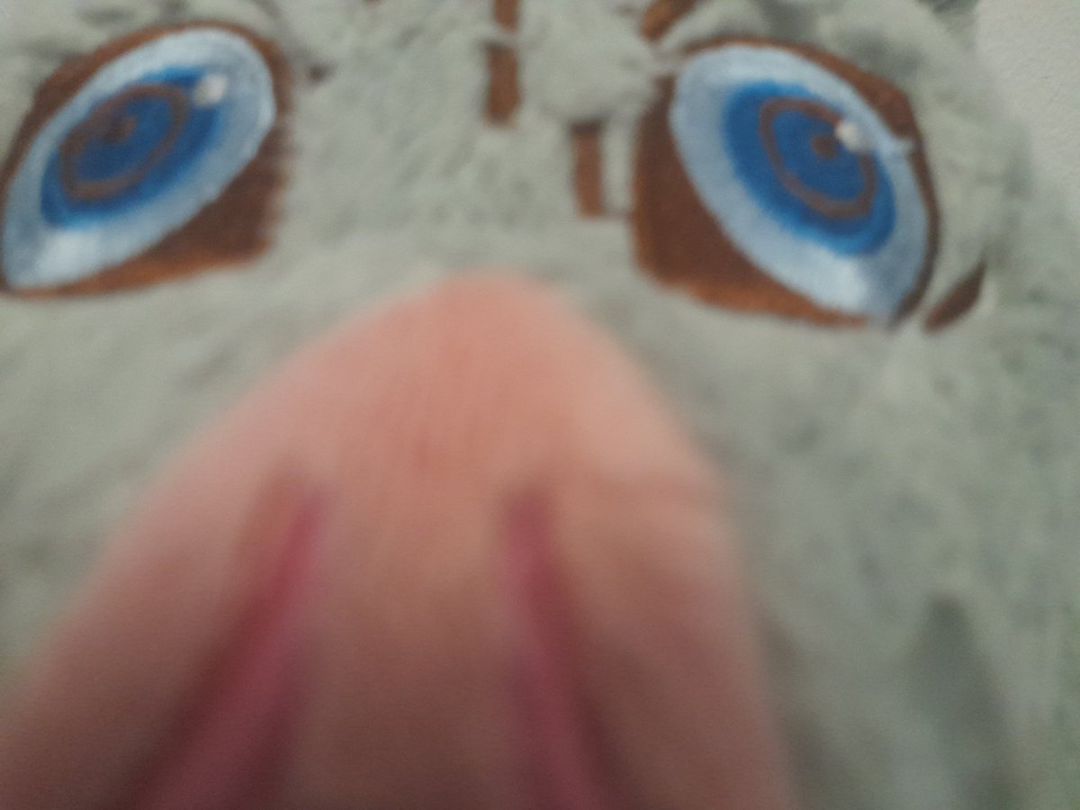 Amigo Gaming!!! (@amigo_gaming1) on Twitter photo 