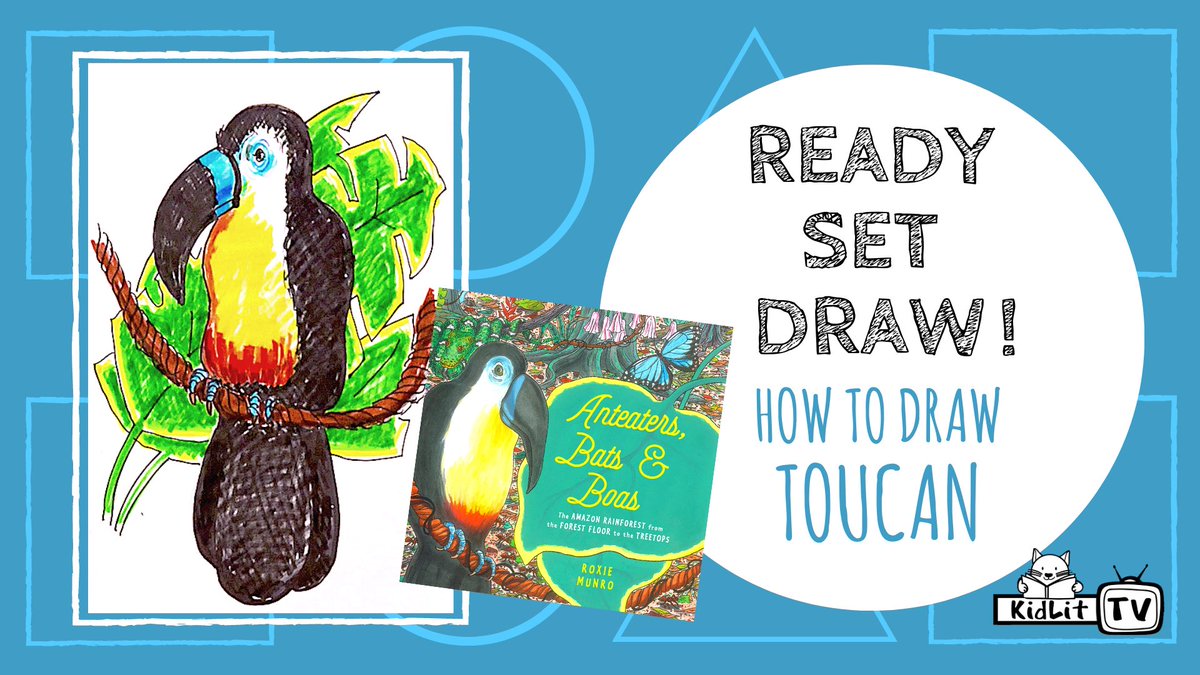 KidLitTV_NYC's tweet image. It’s #SaturdayMorning! Join @roxiemunro for #ReadySetDraw as she shares her new, #nonfiction book, ANTEATERS, BATS &amp;amp; BOAS. Take a journey in your imagination to the lush Amazon Rainforest &amp;amp; learn to draw a toucan in all its splendor: buff.ly/3NbFoUi #STEM #ISTELib #STEAM