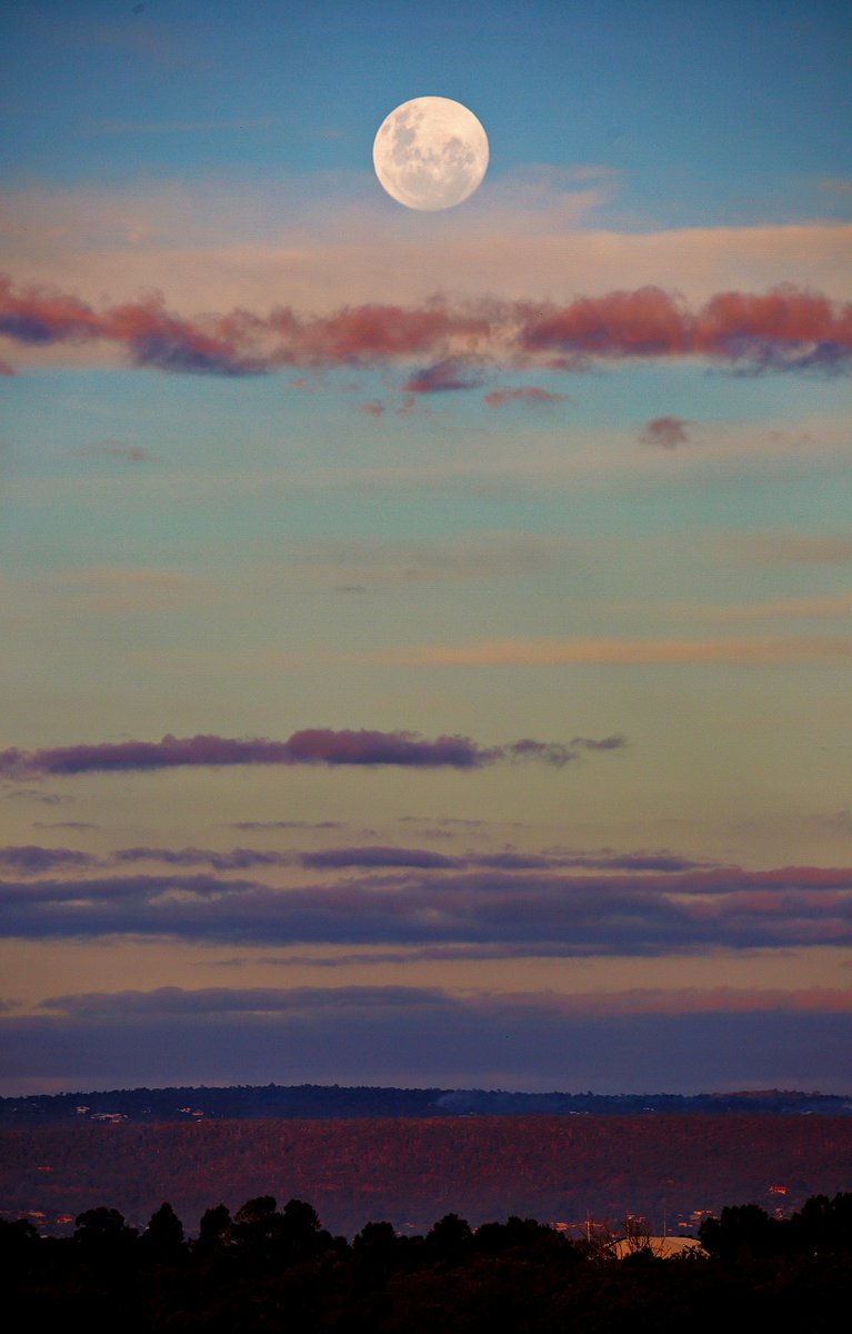 JazPeterFinn's tweet photo. Tonight's moonrise over Perth at sunset as seen from Jandakot.
#perthsunset #moonrise #perthweather #waweather
#Perth #sunsetsofperth #perthwinter #FullMoon #lunarphoto #lunarphotography https://t.co/L2Nvul7pwm