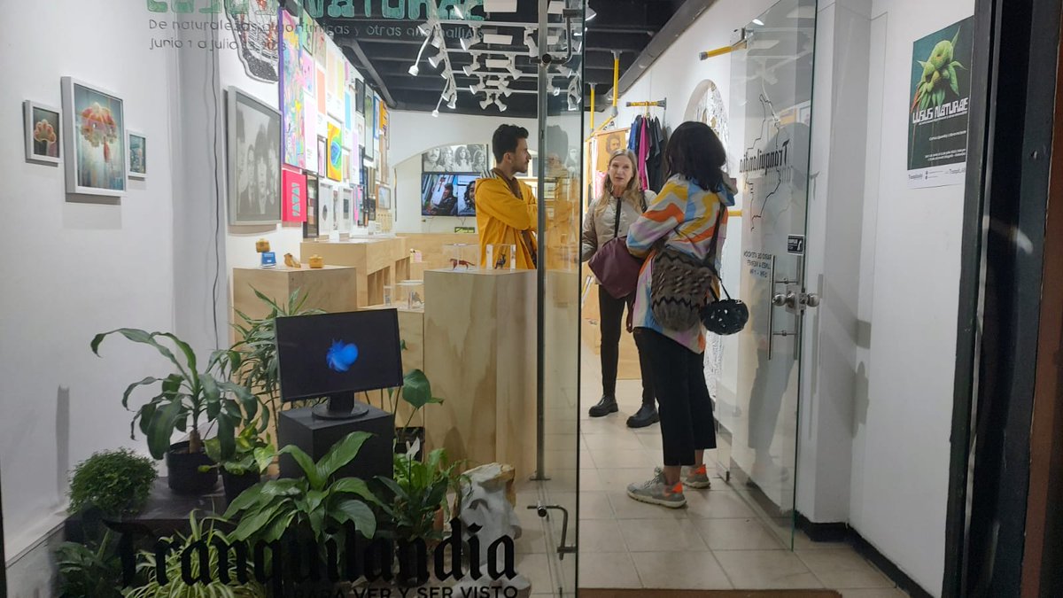 CorinaLipavsky's tweet photo. Thanks to everyone that came to the opening! It was quite a special evening ✨ The show will be on until july 13th at Proyecto Tranquilandia, in Bogotá. https://t.co/PMcWomYrM1