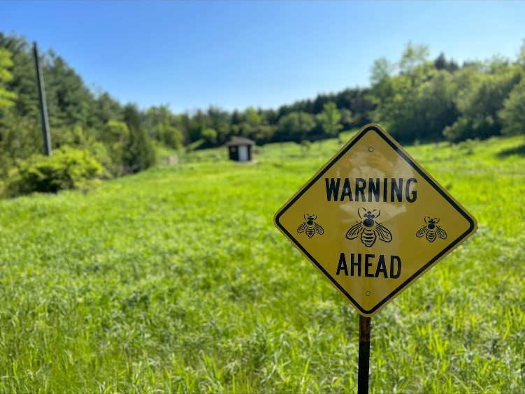 #BeeCity King has partnered with a beekeeper from #PioneerBrandHoney in #Nobleton to have a local apiary on site at the #ColdCreekConservationArea. View the bees from a safe distance or take a course at Cold Creek this summer. king.ca/environmentals….  <a href="/BeeCityCanada/">Bee City Canada</a> <a href="/TRCA/">Dragan Trklja</a>