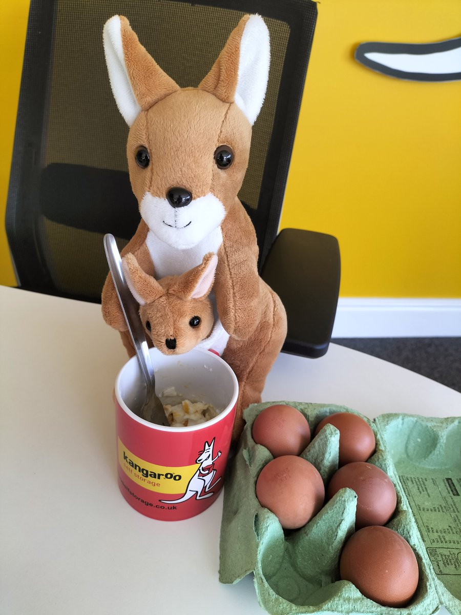 KangaLiverpool's tweet photo. Did you know its National Egg Day? Roo is currently enjoying a chucky egg in one of our free Cups. Why not call in and pick up a mug. Dont store all your eggs in one basket, ask us about storage options! #nationaleggday #Dontstoreallyoureggsinonebasket #freemug #storage https://t.co/1f5fQdHWke