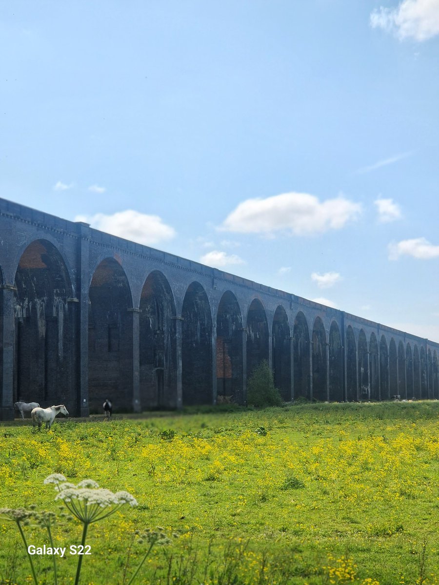 Was due on a big walk in the Peak District today but due to me knackering my ankle kept it shorter and closer to home. Fingers crossed we can go in a month.🤞 #wellandviaduct