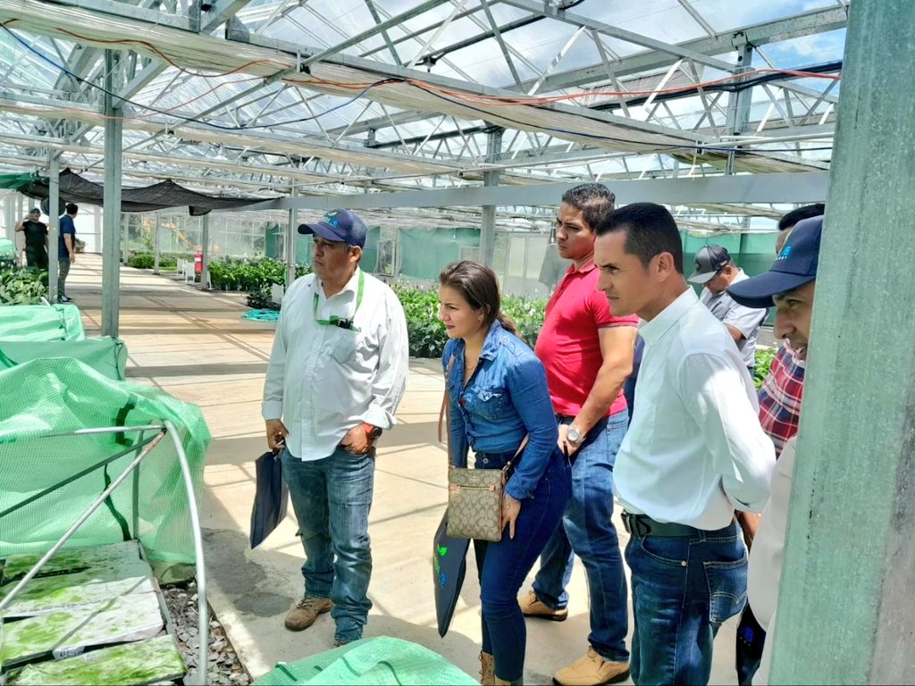 La Voz De Veraguas tweet media