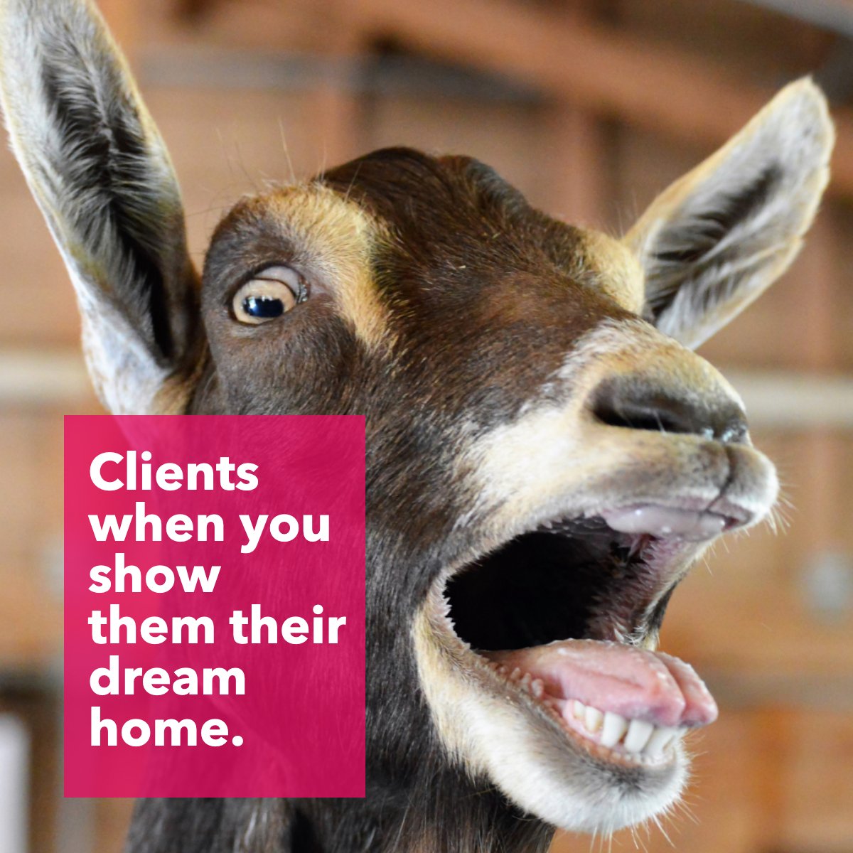 Showing a client their dream home is an exciting moment for everyone. 👌

What does your dream home look like? 🏡 

#clients    #dreamhome    #showing    #agent    #buyers    #goat
#HomeSoldByDawn #WestChesterRealtor #LibertyTwpRealtor #RealtorForLife #HomeBuyer