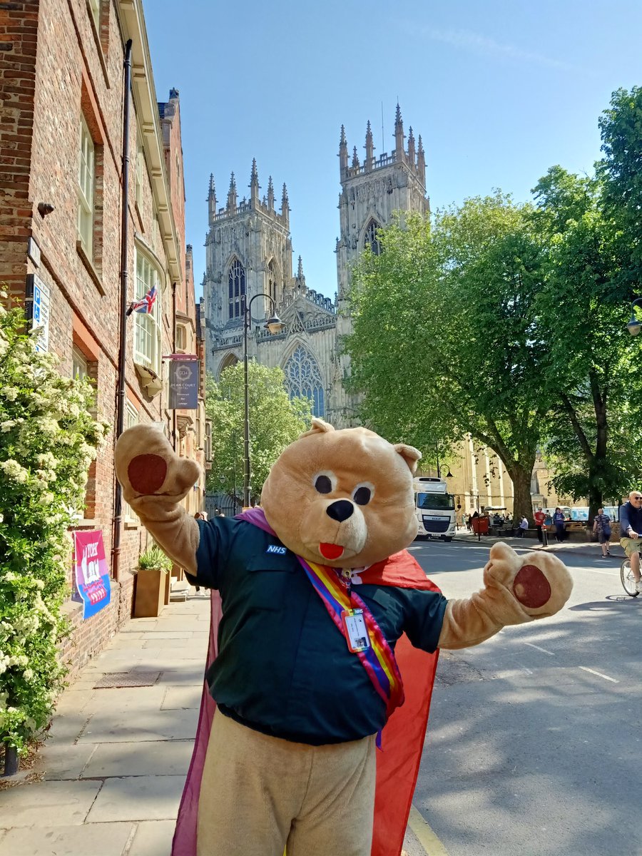 Para Ted's in #York today for the #YorkPride2023 event. Come and see us at the Knavesmire. @YorksAmbulance @yas_charity @YASCFR
