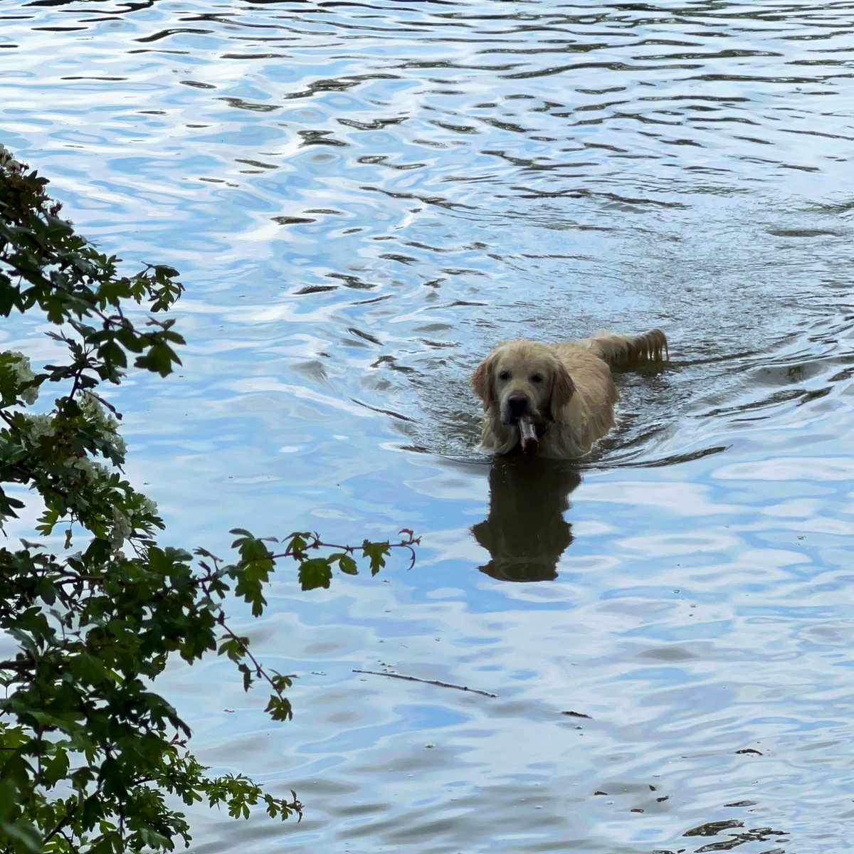 Bmo93's tweet image. Beautiful Saturday.. 💚