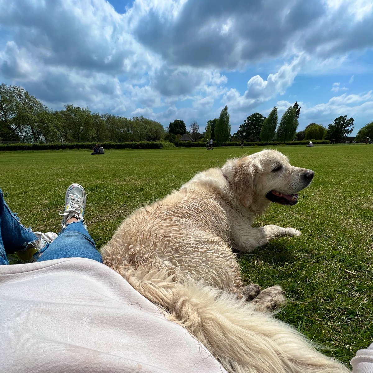 Bmo93's tweet image. Beautiful Saturday.. 💚