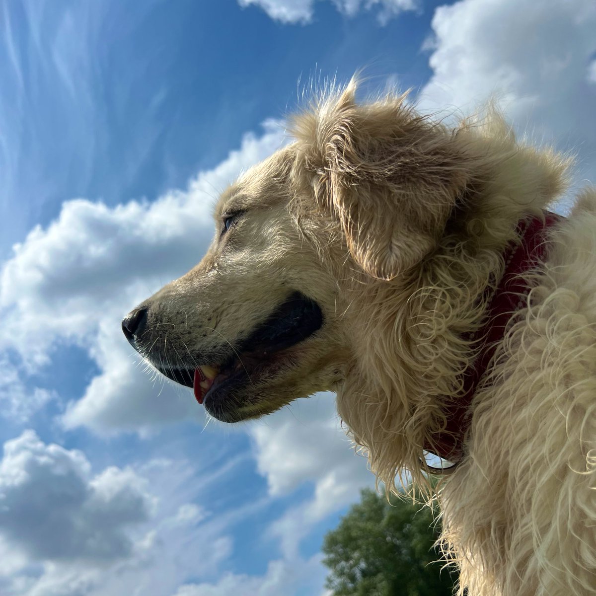 Bmo93's tweet image. Beautiful Saturday.. 💚