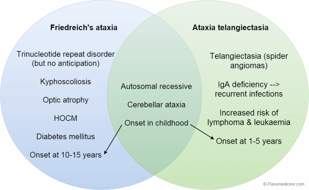 (3/n) 📌Main difference between Friedreich's and Ataxia Telangiectasia- ONSET of the disease.

Other differences are shown below: