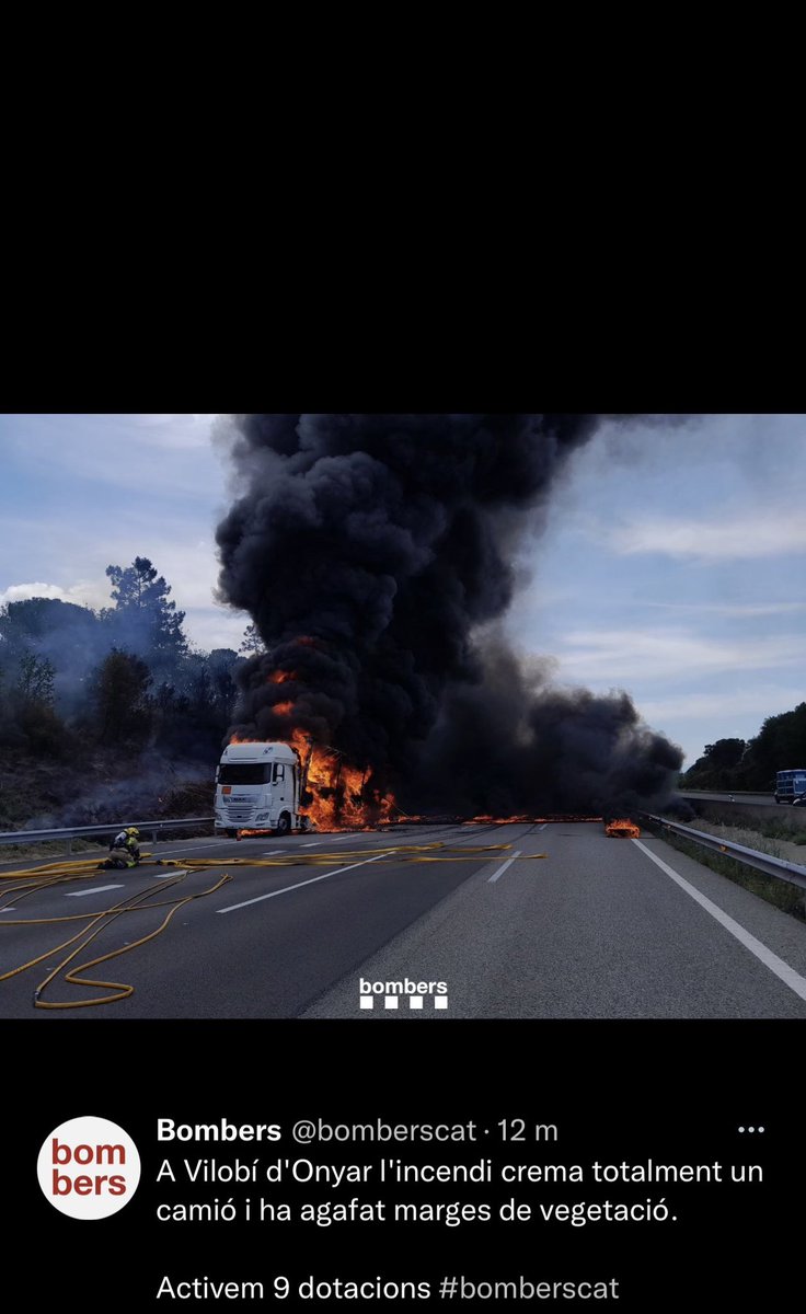 Mireia tweet media