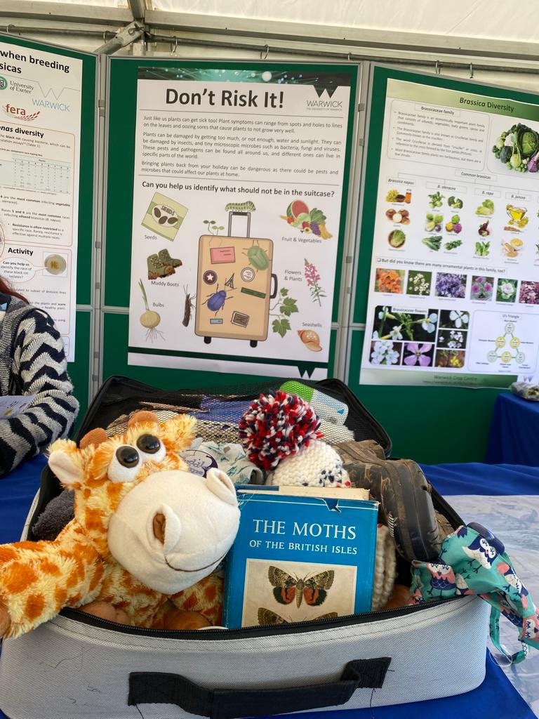 WarwickCrop's tweet photo. We're all set up and ready to go. Come find us @KenilworthShow. We've got insects, plants, seeds, vegetables, pathogens as well as fun activities and games. https://t.co/xLKYHG2Txs