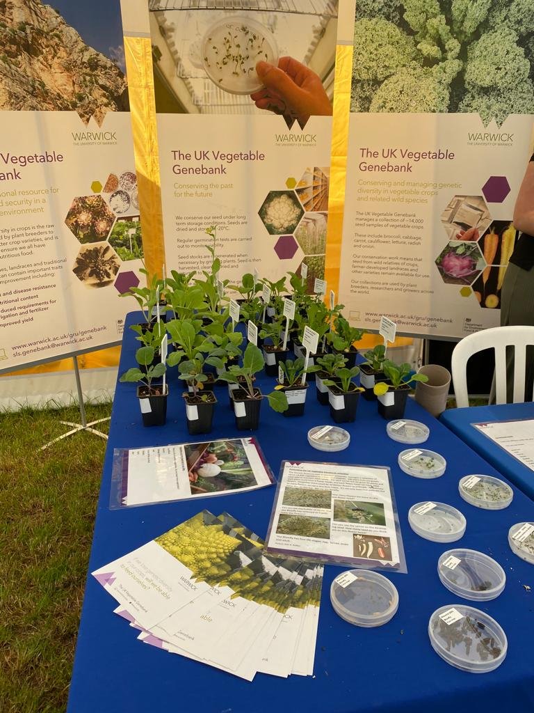 WarwickCrop's tweet photo. We're all set up and ready to go. Come find us @KenilworthShow. We've got insects, plants, seeds, vegetables, pathogens as well as fun activities and games. https://t.co/xLKYHG2Txs