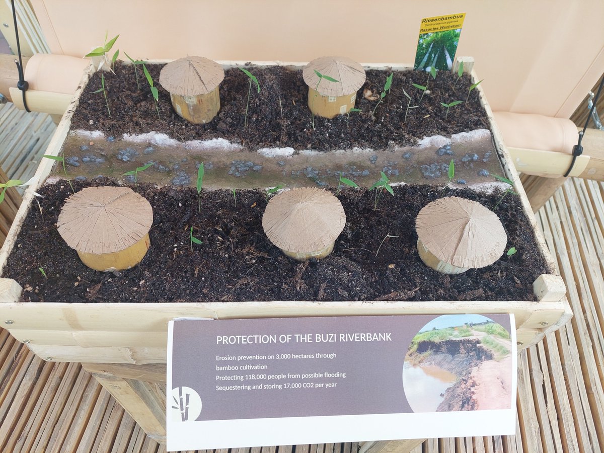 It was a great networking and learning experience at the #EuropeanBambooExpo in #dortmund with inspiring presentations from all around the world 🎋 🦋 🌍
#thinkbamboo #sustainableagriculture #soilhealth #communitydevelopment
