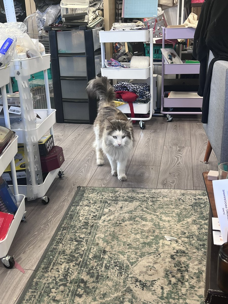 KerrysCornerCIC's tweet image. I love drop-in sessions, you never know who will walk through the door. It’s our form filling support drop in today so if you’re struggling to fill out PIP or welfare forms, pop in and see us! We’re open until 12. #opentoeveryone