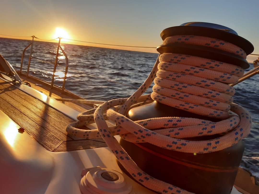 Leonardo tweet media