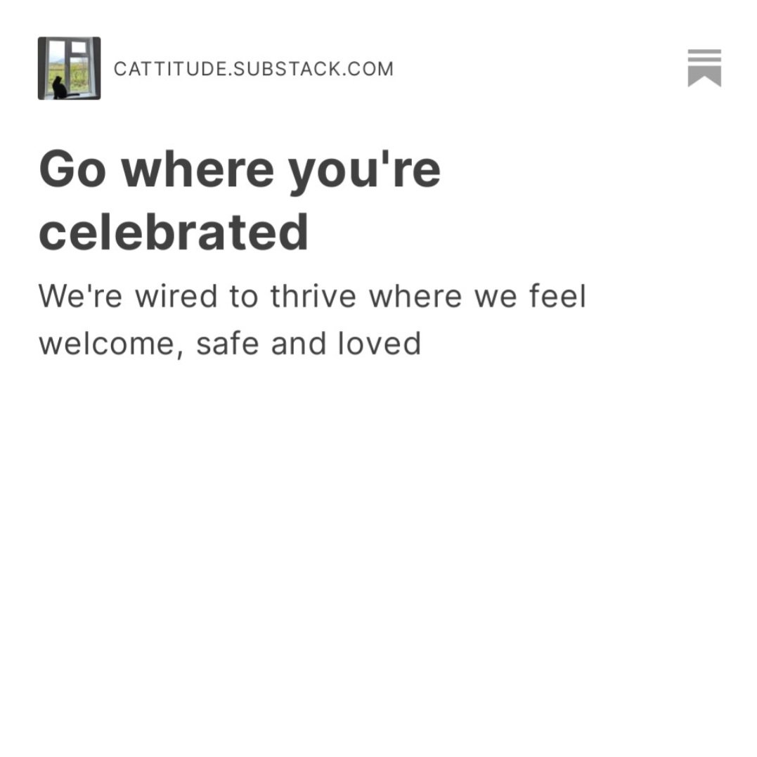 Happy Caturday! 

Read on (and please subscribe if it appeals) for today's meowsage from the MagnifiCat 

cattitude.substack.com/p/go-where-you…