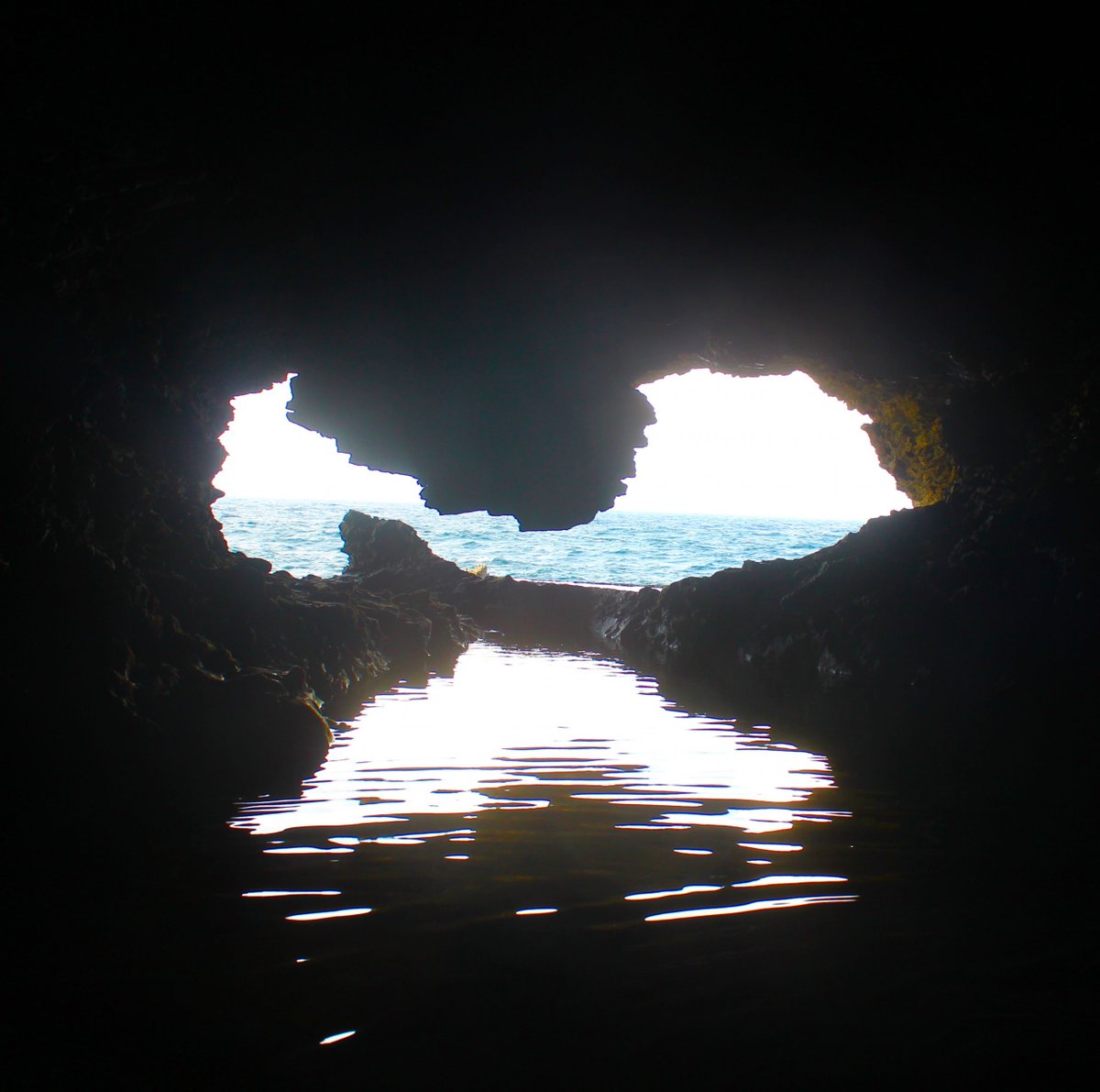 NomadicBrits's tweet photo. Memoirs from an unforgettable trip ...
https://t.co/zTWTWoiwkx
#travel #lookatourworld #travelbloging #travelbloggers #animalflowercave #atlanticocean #Barbados #carribean #funtravel #pool #seaanemones #stillwater #travelwithkids #Beauty #Caves #Explore #Landscape #Nature https://t.co/5Wskn6UNWc