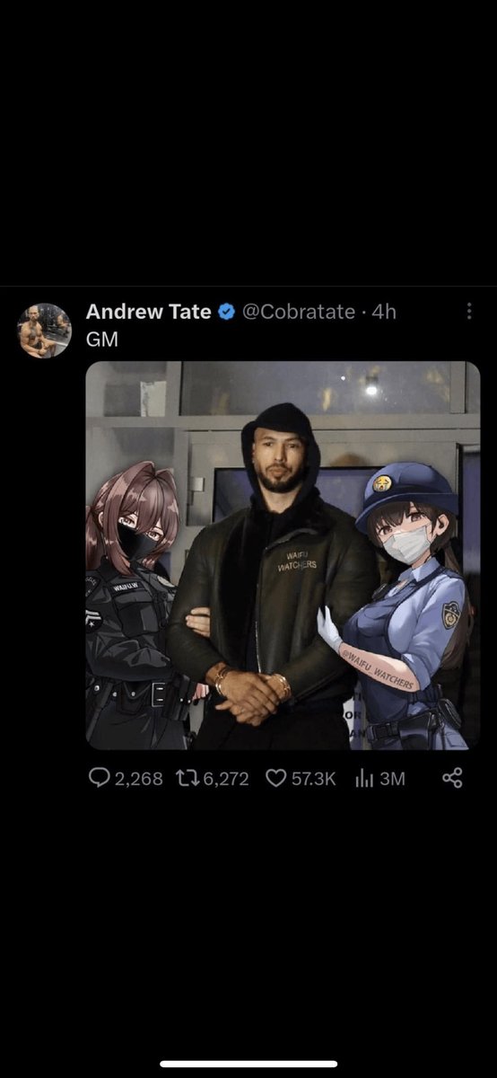Badmon474's tweet photo. It‘s fascinating how far tate stans go to ridicule themselves. If you are trying to make a point then at least listen to the things your hero said online. On camera. Not only that.. he and his brother openly support Waifu Watchers. So they like Loli? Makes sense. https://t.co/Jl6XX0nMUL