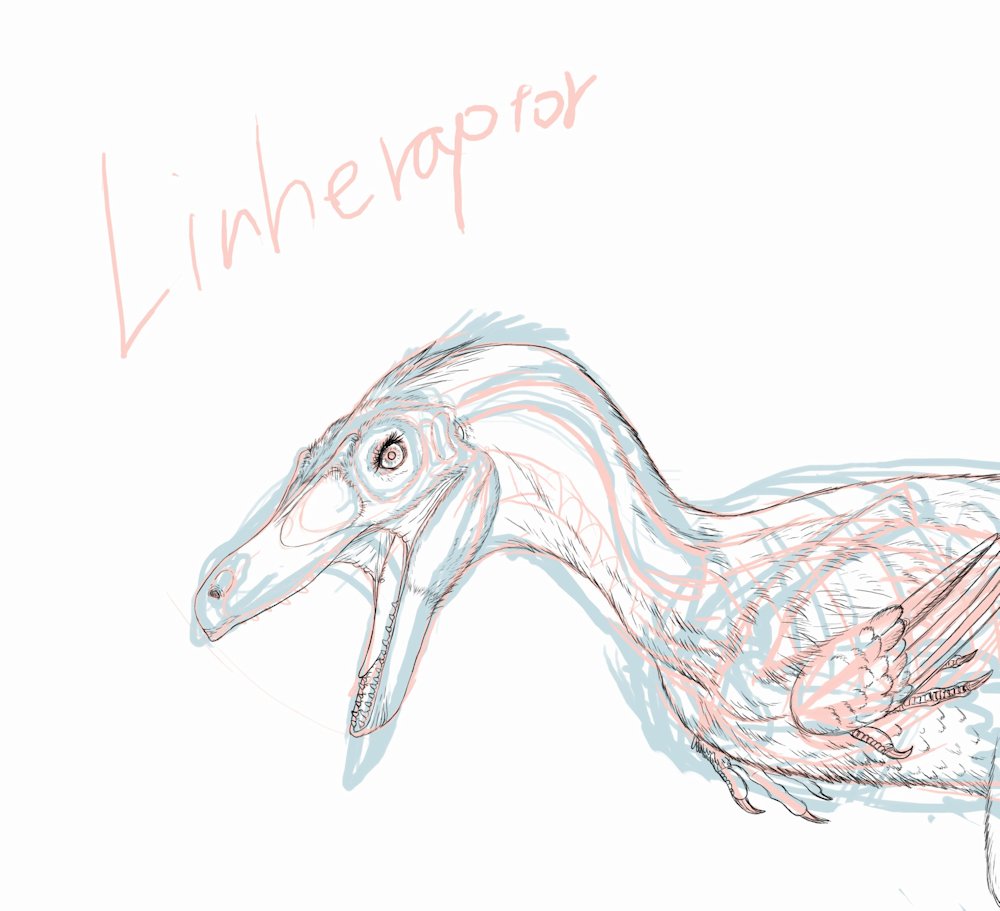 kta92751434's tweet photo. #Linheraptor exquisitus
#リンヘラプトル
最近、まつ毛を長く描く傾向がある https://t.co/NC4bZ17S1n