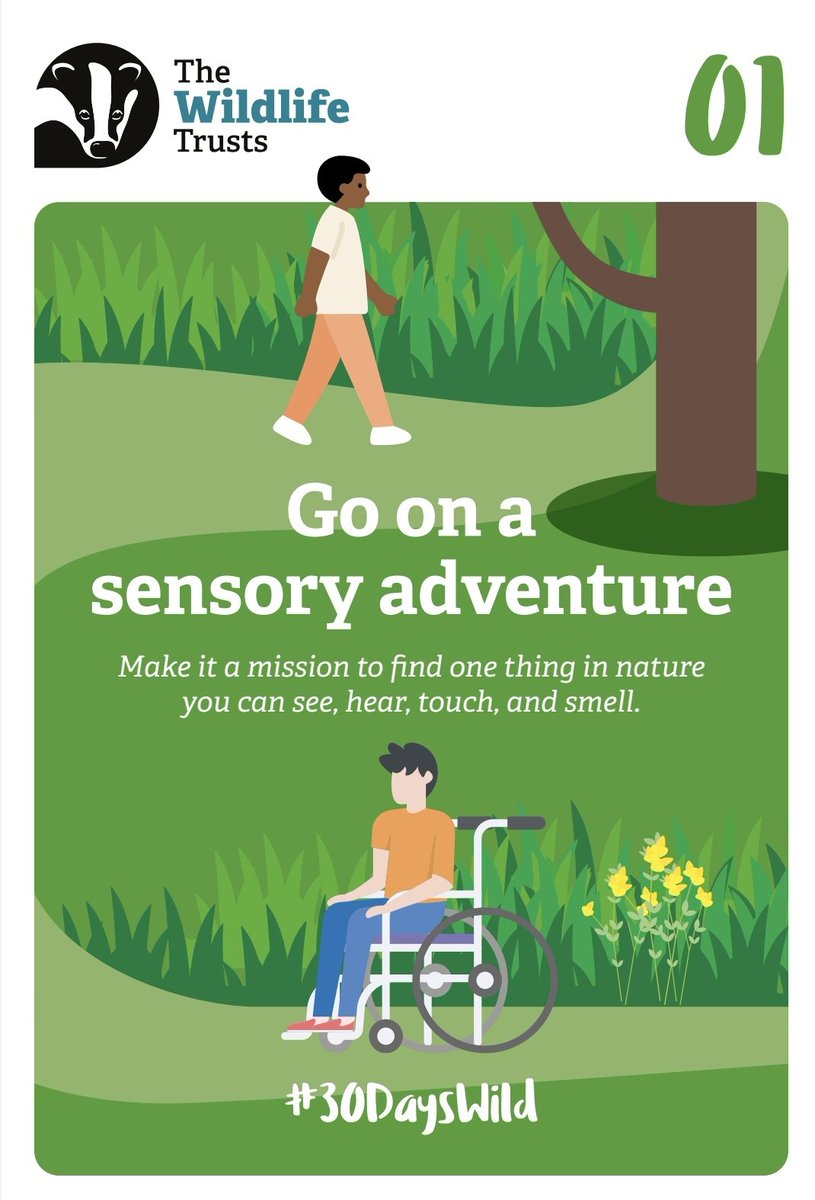 MulleryMrs's tweet photo. It's June time for 30 Days Wild.
Day one go on a sensory adventure. Some of the children visited the school orchard. We looked for flowers, feathers and green leaves. https://t.co/yuq22u8nN0