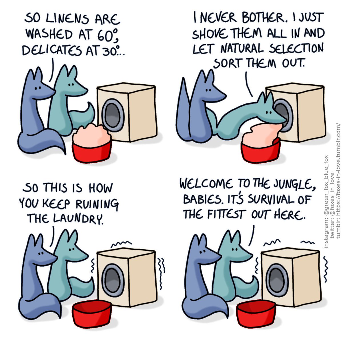 Foxes in Love (@foxes_in_love) on Twitter photo 