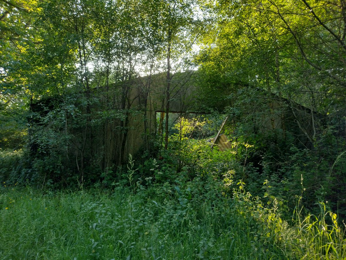ThiChaplain's tweet photo. Un vieux poulailler écroulé (sur #Géoportail, il apparaît en pointillé). La jolie friche que cela crée avec des #orties, des #ronces et des #chardons de 2mètres, voilà le rêve de certains. Bah clairement je préfère un élevage vivant. https://t.co/s2lAslO6G2