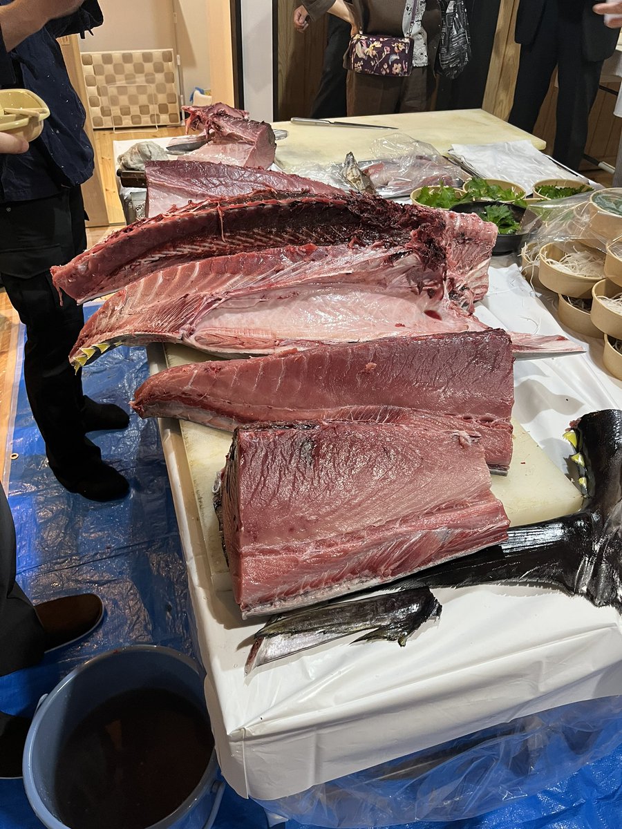 jscdp_59's tweet photo. 会長招宴の主役のマグロ解体ショーです
#JSCDP59 https://t.co/vRb9kSFZV0