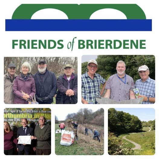 George C. Westwater tweet media