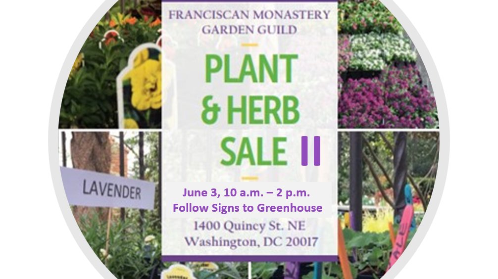 gardenguild's tweet image. Today from 10 am-2 pm-FMGG Plant &amp;amp; Herb Sale II-Follow signs from Main Gate to Greenhouse - Bring boxes &amp;amp; carts but no dogs! Sale of Azaleas, Figs, Gardenias, Herbs, Hydrangeas, Lilacs, Nandina, Peonies, Roses, Viburnum, Hanging Flower Baskets, &amp;amp; More! eventbrite.com/e/fmgg-plant-h…