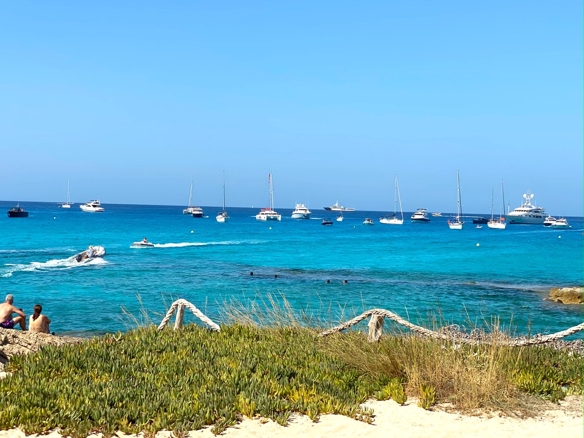 Breathtaking Es Calo Beach adorned with boats on the shimmering waters 🏖️⛵ 

A harmonious blend of natural beauty and maritime charm 🌴✨ 

#EsCaloBeach #BoatsOnWater #SeasideSerenity