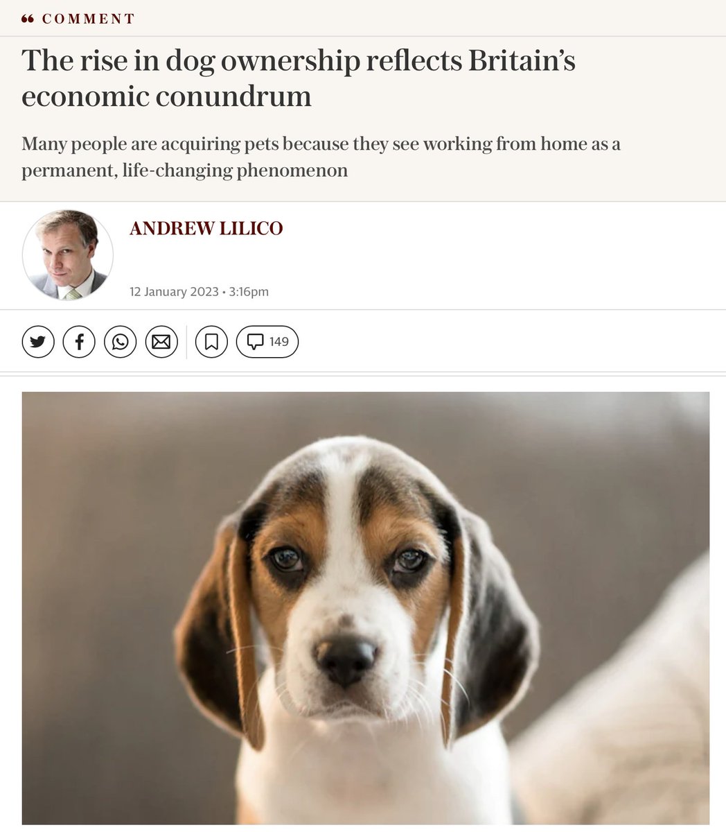 A thread on the Telegraph's epic war on working-from-home: just a *selection* of the anti-WFH articles in 'Britain's Best Quality Newspaper' since January of this year Let's start with dogs, working from home is sending dog ownership to unsustainable levels