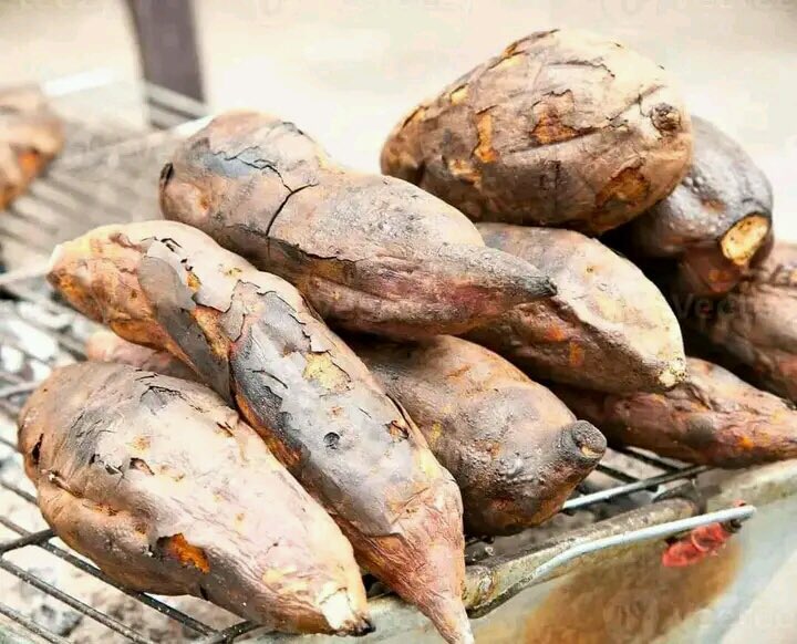HarrisDickson09's tweet photo. Ya braai ndi dilu🔥 https://t.co/VSlPdTtykt