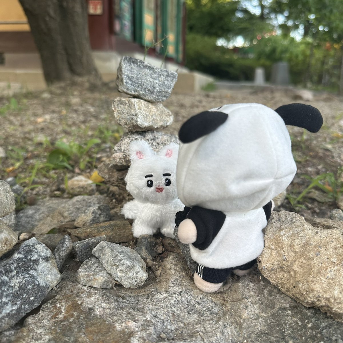 DOH_SOMSOM's tweet image. 협박하는거 아님. 둘이 친한사이♥️
#도가네솜뭉치 #됴버니 #뚜꼬마