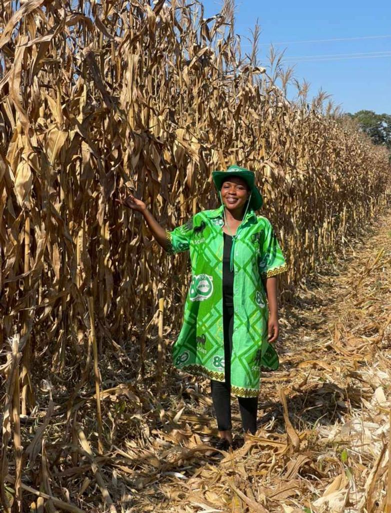 Masimba Kanyepi tweet media