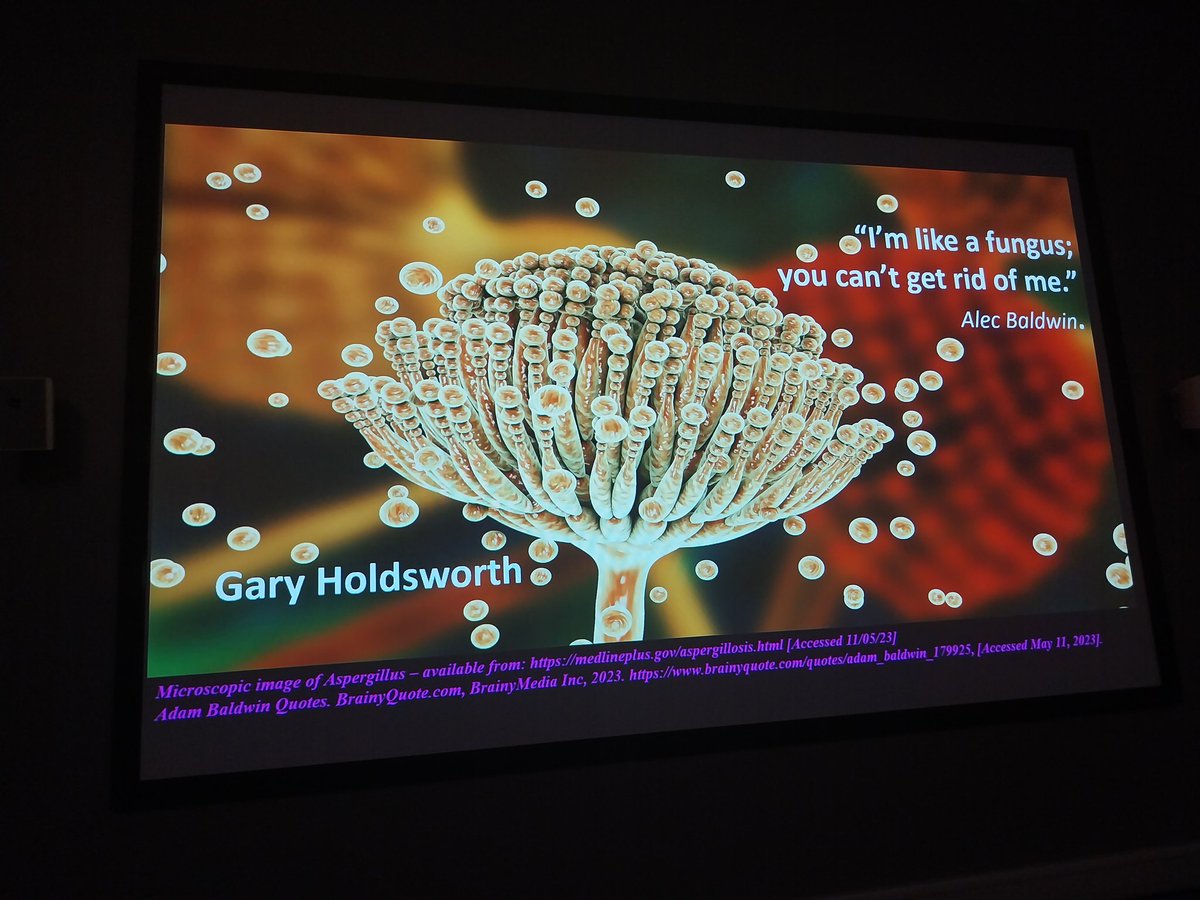FodiK1's tweet photo. Gary Holdsworth is back!!! discussing the critical nature of diagnosing fungal infection in the Central Nervous System at the #CTHead SIG - with arguably the most colourful slide I've ever beared witness too 🤩😎 @qure_ai @GEHealthCare Skilled Personnel @SCoRMembers https://t.co/S1mhTtOjuV