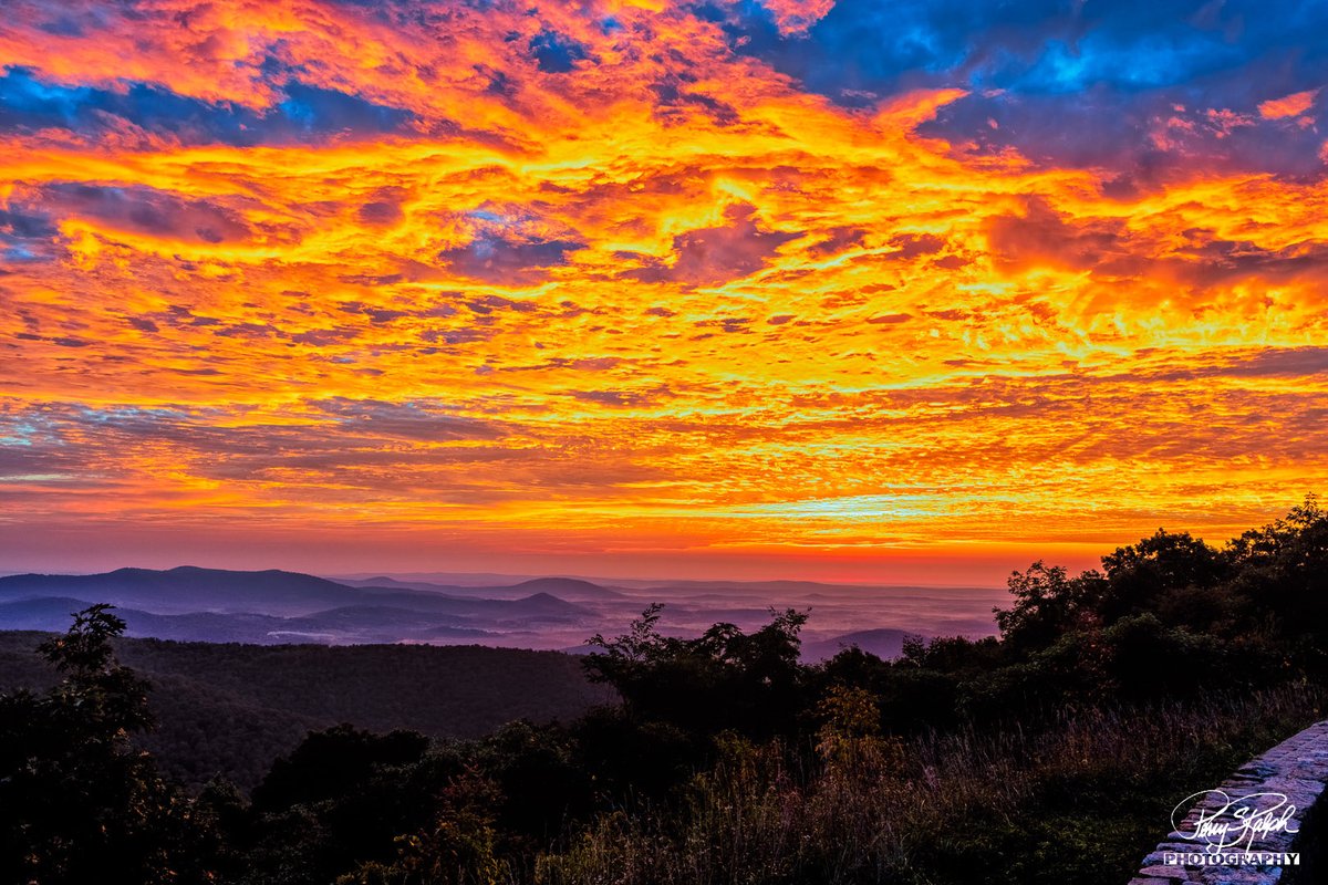 perryralph's tweet image. #sunrisesaturday Jenkins Gap Sunrise. A stunning #sunrise in Shenandoah National Park #shenandoahNationalPark #Virginia