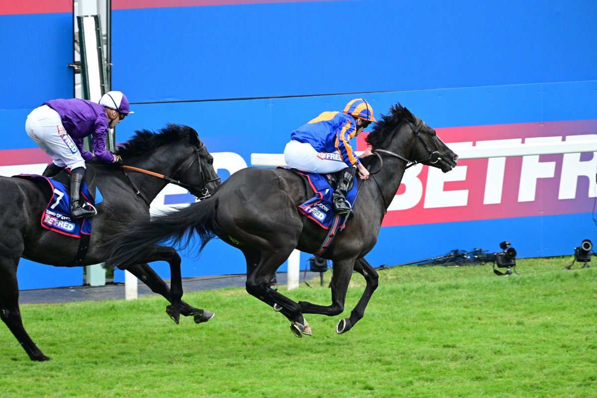 这，就是我的推！
LET'S GOOOOOOOOOOO RODIN！！！
👑🐎🐎🐎🐎🐎🐎🐎🐎🐎🐎
@aobrienfansite 
#ディープインパクト
#オーギュストロダン
#DerbyDay 
#DerbyFestival 
(Pictures are taken by my personal device, not for commercial use.)