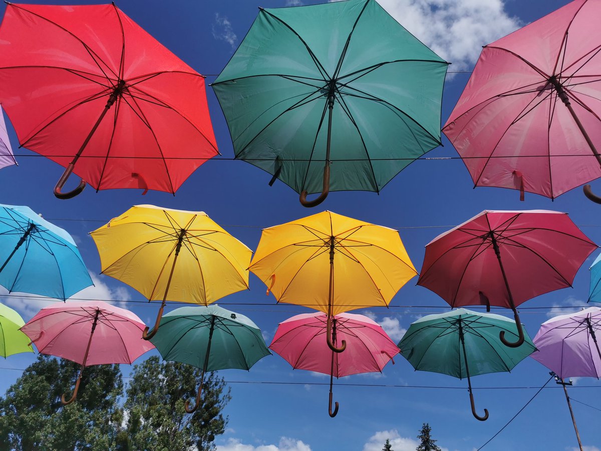 ylllayllla's tweet image. 