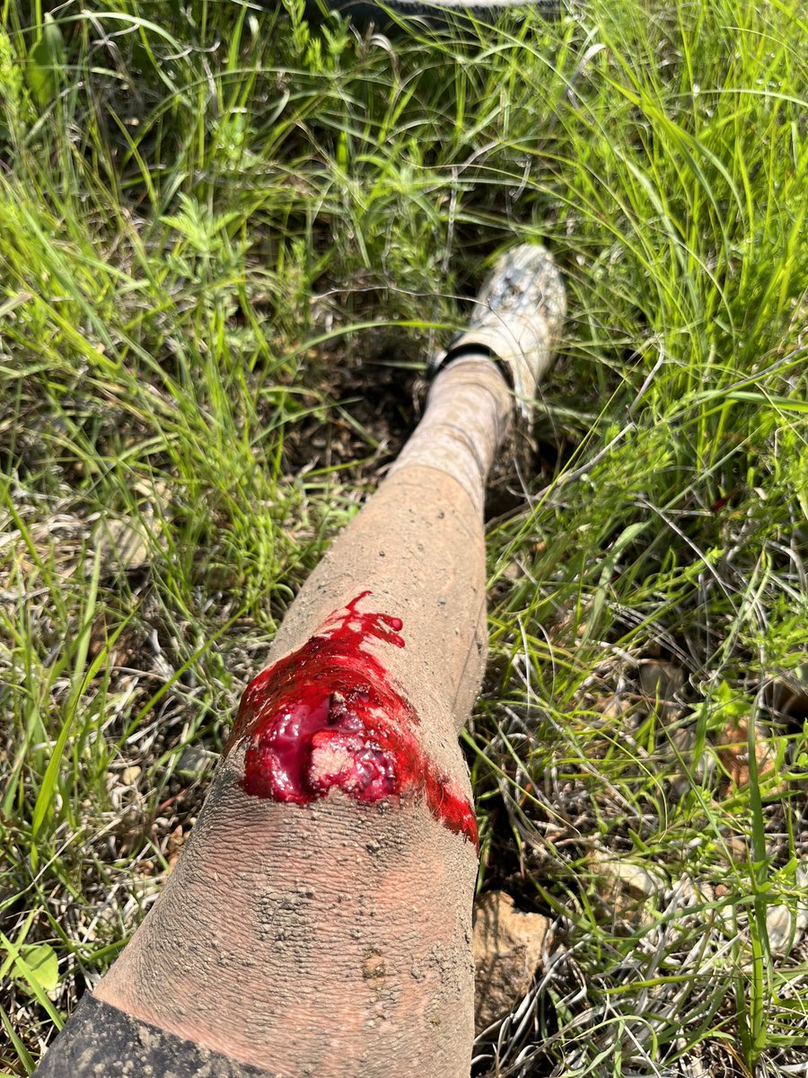 Thijs Zonneveld tweet media