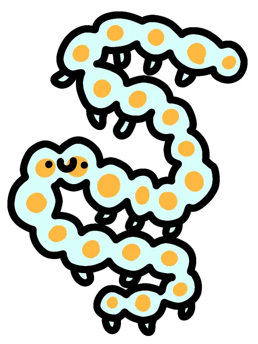 ナガヨウラククラゲ