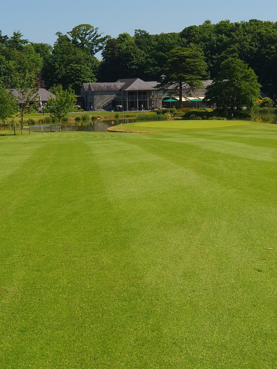 Where else would you want to be on a day like today <a href="/FotaIsland/">Fota Island Resort</a> 
Course in fantastic condition