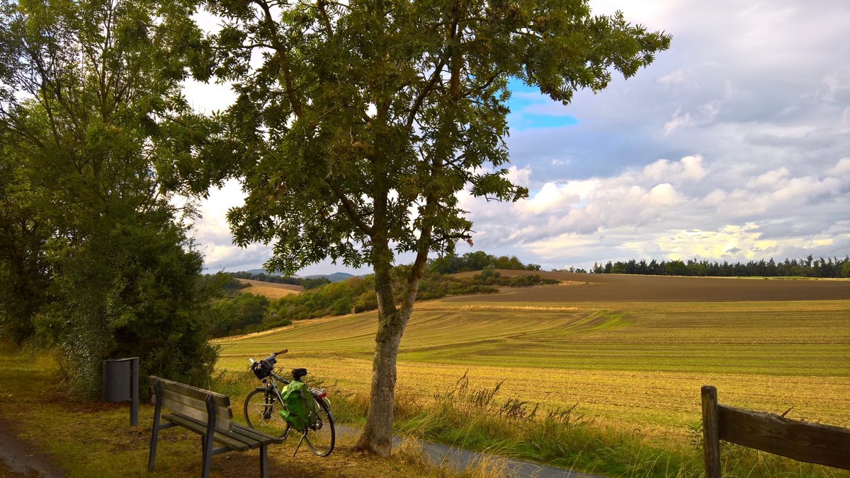 StephaneNature's tweet photo. Have a healthy, peaceful weekend ๐ต๐ถ๐ฆ๐ณ๐๏ธ
#TreeRide #TreeHike #Nature #PeaceInFreedom #MentalHealth #Trees #Fields #Forests https://t.co/WQ25S3nfA5