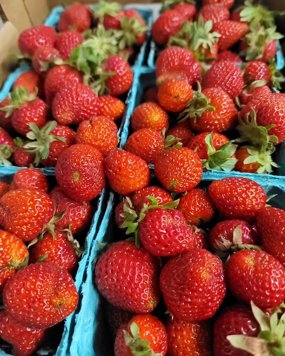 Woohoo! Limited strawberries today at market from <a href="/RICHARDSONSFARM/">Richardson's Farm</a>! First come, first served. 

They also have rhubarb, asparagus, farm baked goods, and lots more!

We're open from 9AM to 12PM!