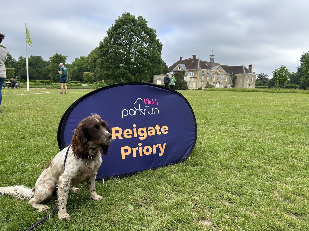 GEWeventing's tweet photo. @parkrunUK I took Ripple for the first time. She wasn’t so keen on the noisy and excited other dogs at the start but otherwise loved it 🥰 https://t.co/CJnDimp1mw