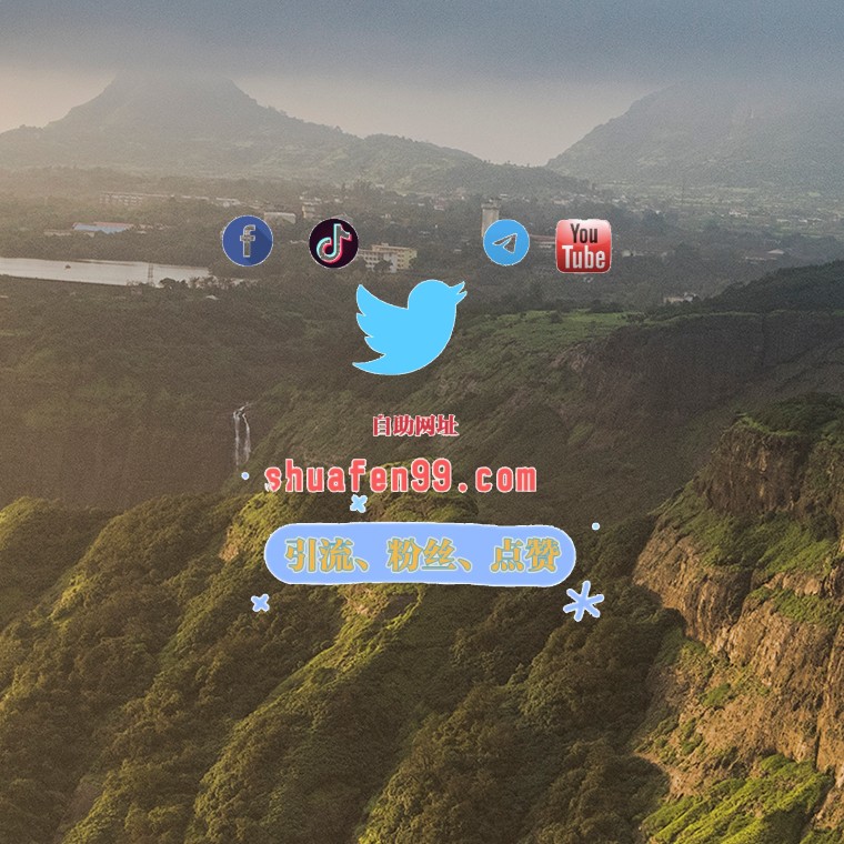 推特粉丝 tweet media