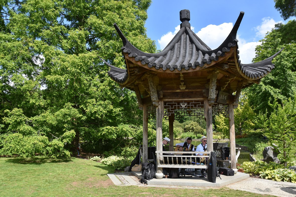 Listen to the sounds of Chi Jazz in the beautiful surroundings of RHS Garden Wisley during Jazz Saturdays, on from 10 June to 29 July. The band will play in the Butterfly Lovers’ Pavilion on Seven Acres from 1-4pm.

Plan your visit: rhs.org.uk/gardens/wisley…