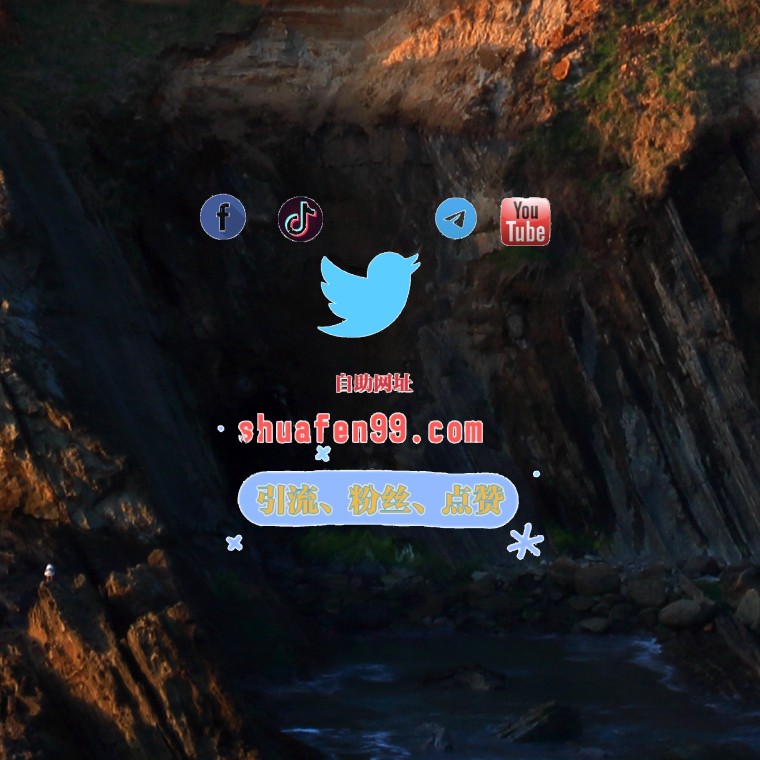 推特粉丝 tweet media