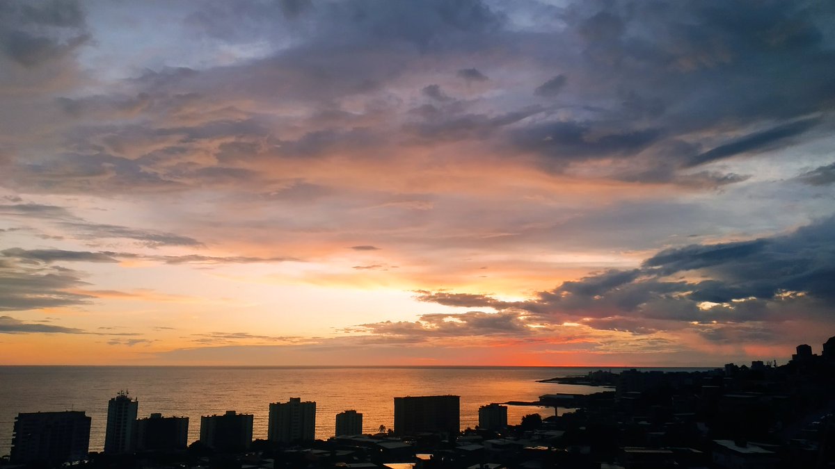 Gabriela  RADA tweet media